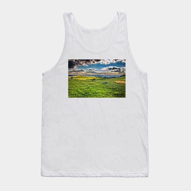 North Dakota Badlands Tank Top by Gestalt Imagery